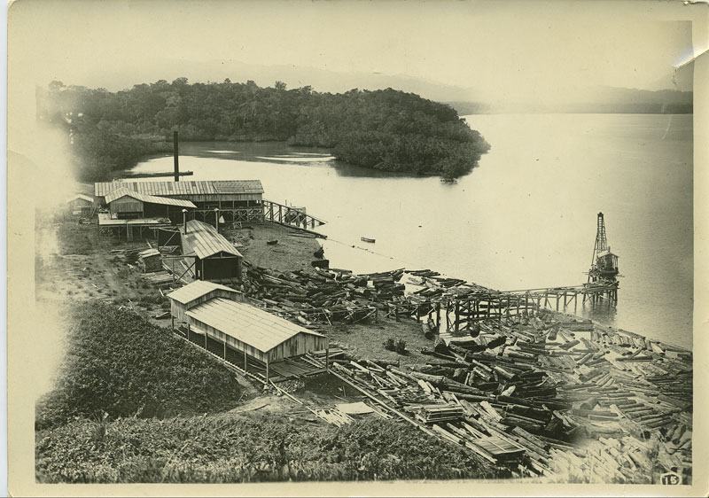 The sawmill - Not sure how they got high enough to take that photo