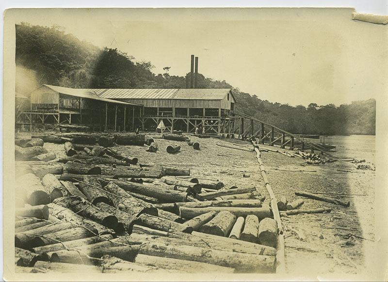 The Rio Congo Panama sawmill