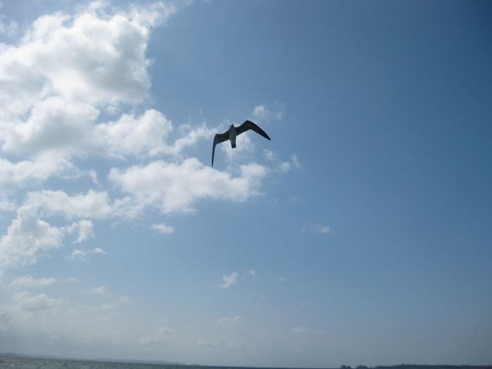 Photo from the trip