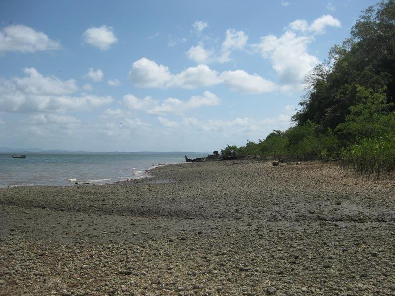 The beach my grandmother must of lived on