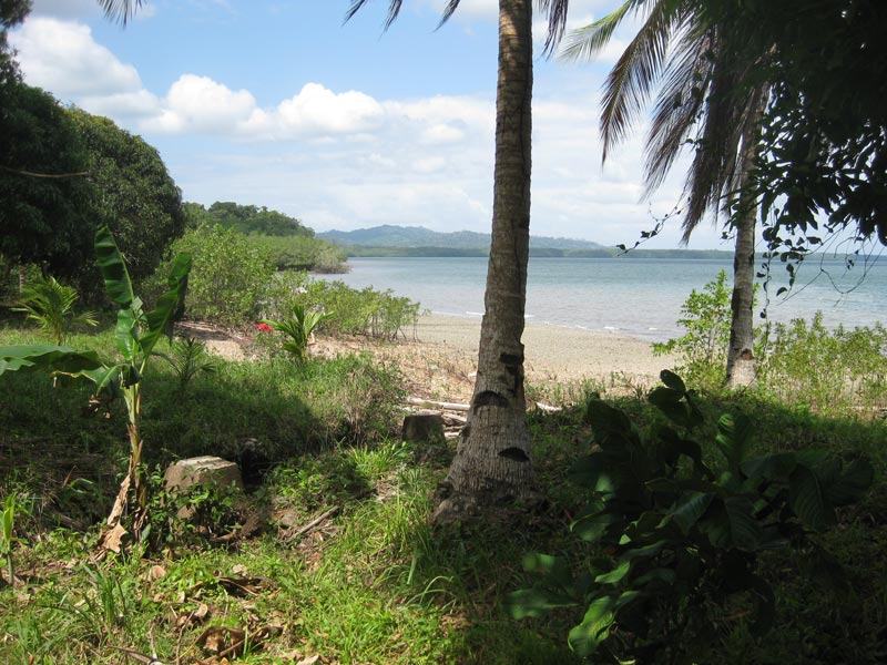 View of where the sawmill stood 100 years ago