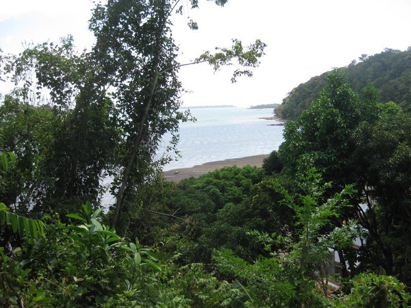 View of Gulf from Rio Congo