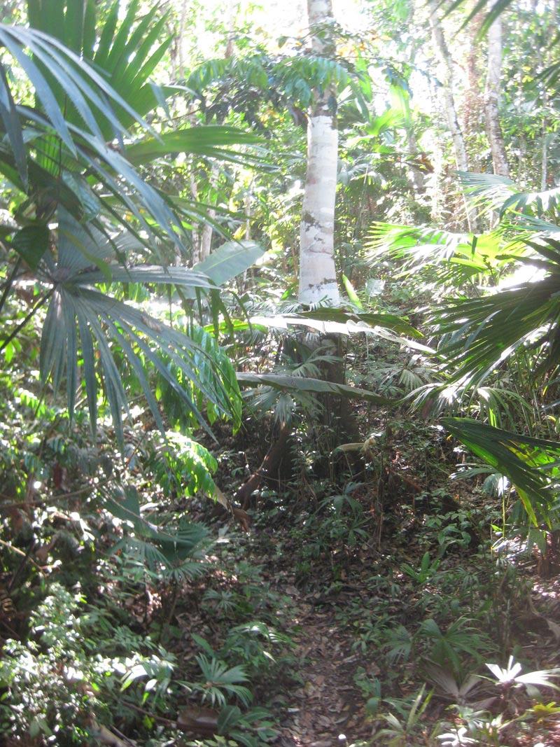 Photo from the trip
